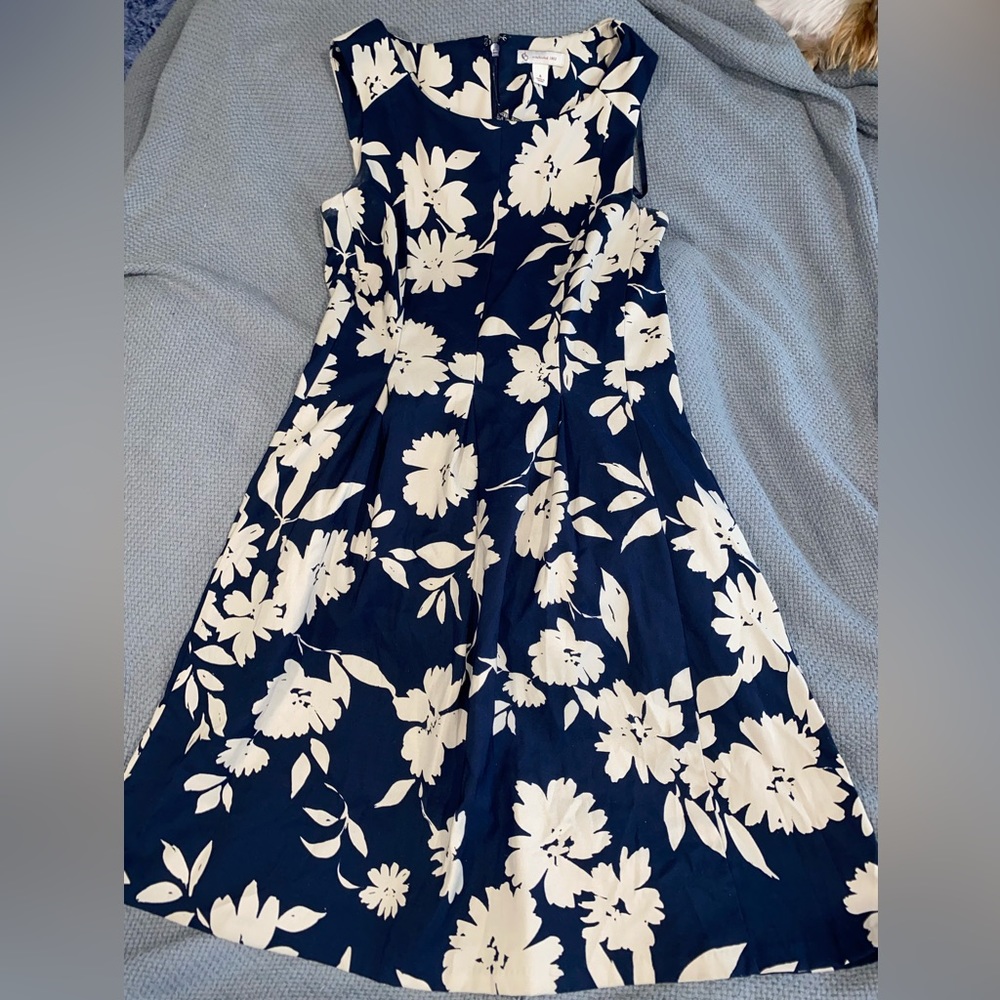 Dress Barn Dress Size 4